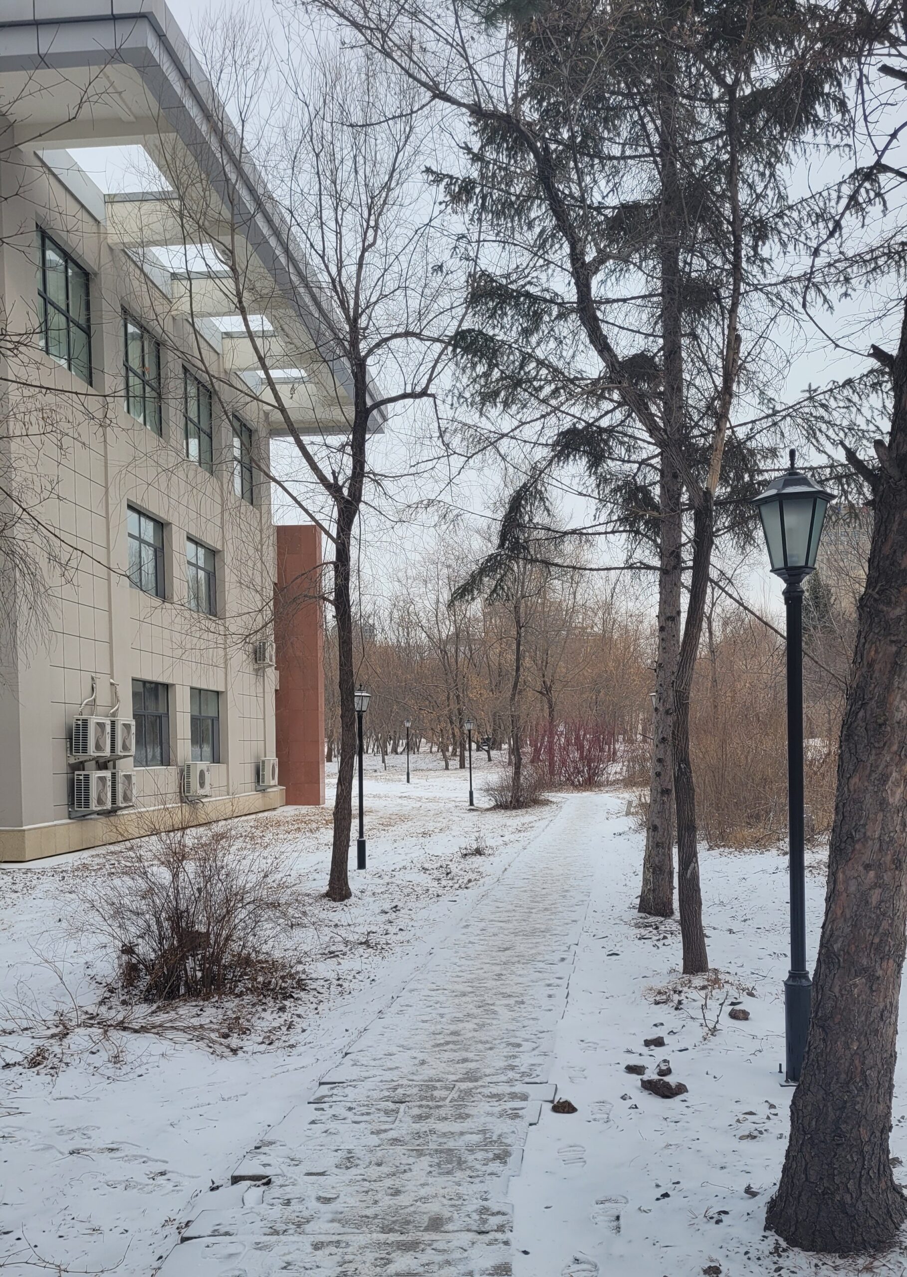 Snow22 Snow22